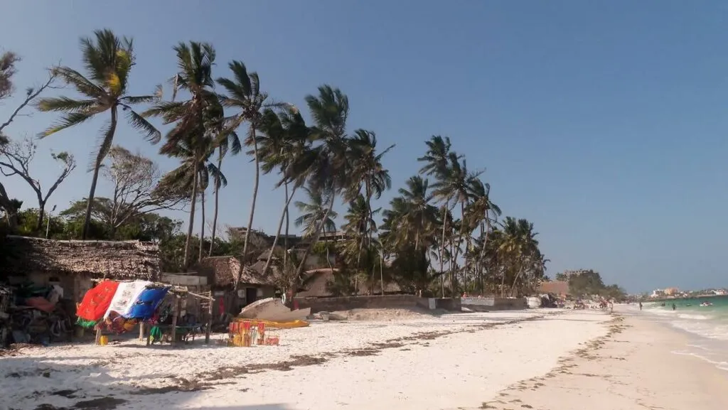 The 10 Best African Countries to Visit in 2025: A Traveler’s Guide 4 best African countries -a beach with palm trees and huts