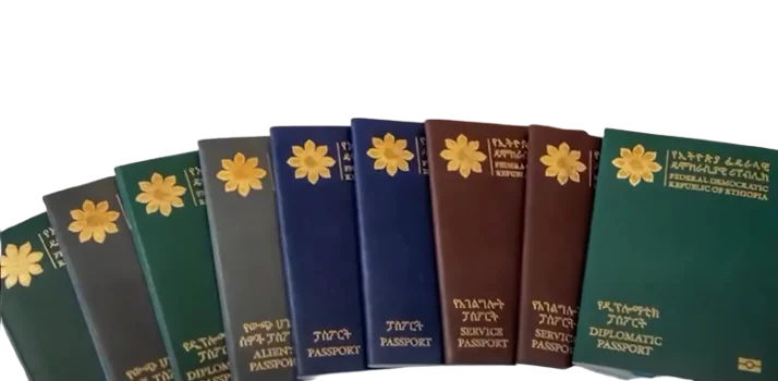 How to Renew or Replace an Ethiopian Passport from the USA in 2025 Helpful Guide 1 renewal Ethiopian Passport